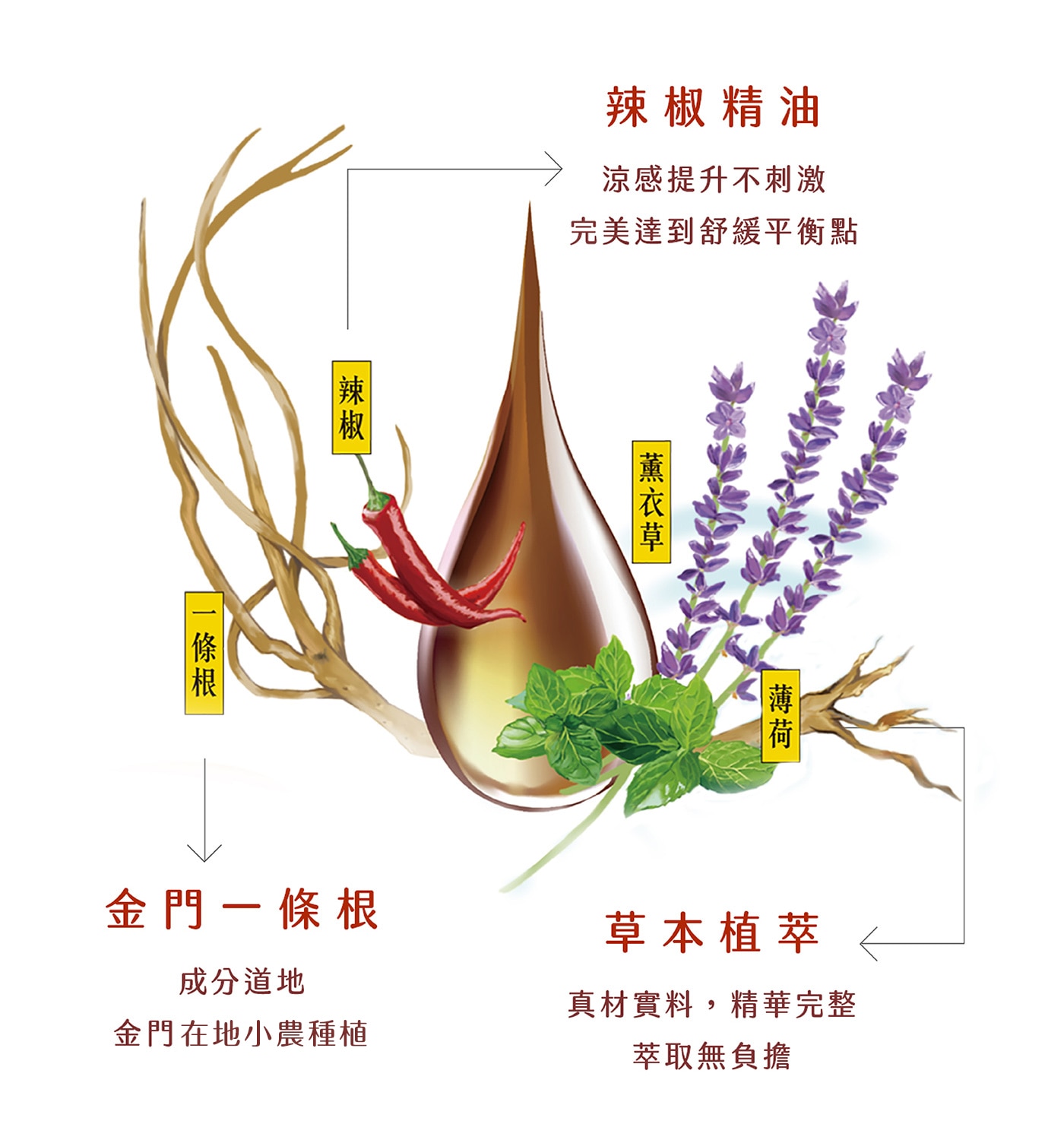 勝昌一條根精油貼布台灣製造，緩解疲勞，放鬆心情，適用於讀書、工作、開車、運動、居家、旅遊等。