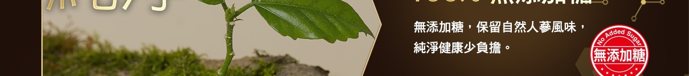 桂格養氣人蔘 羅漢果穩氣配方滋補液 65毫升 X 32包，羅漢果甘甜取代糖，好健康!，獨家皂苷MAX™技術，完整釋放10種人蔘皂苷精華，有效穩固精氣神，HPLC專利技術分析人蔘皂苷圖譜，確保人蔘皂苷的種類與含量。