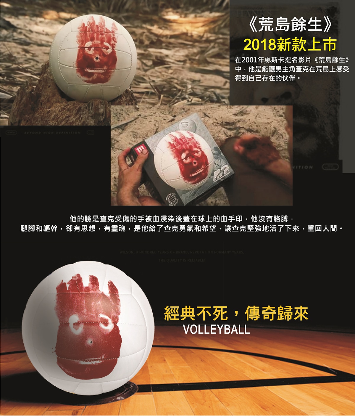 Image result for wilson cast away