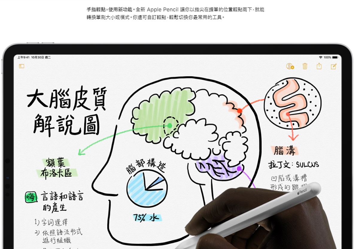 スマホアクセサリー その他 Apple Pencil (第2代) | Costco 好市多