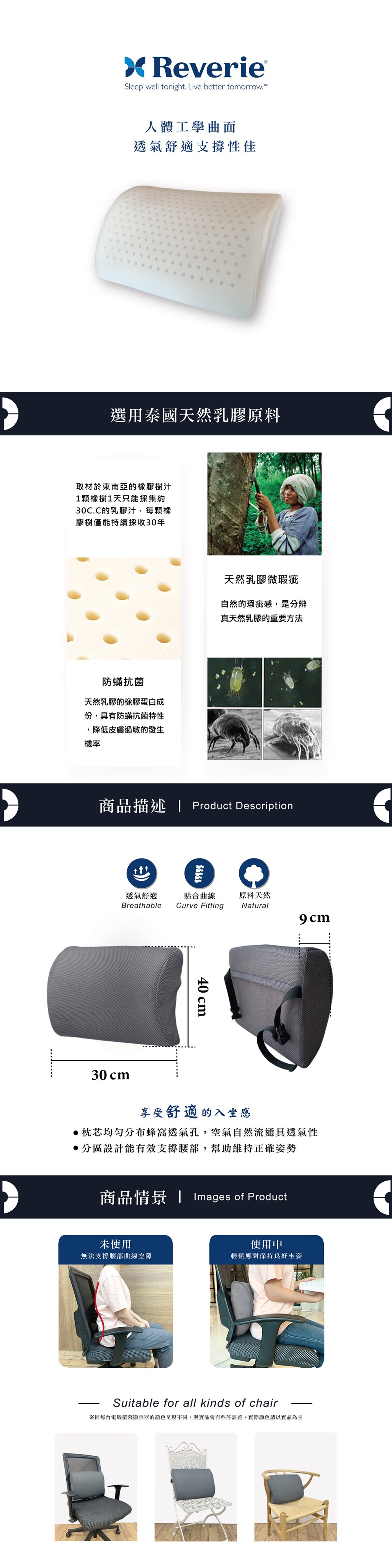 Reverie 3D透氣網布乳膠腰部靠墊 40 x 30 x 9 公分，選用泰國天然乳膠原料，透氣舒適有效支撐腰部。