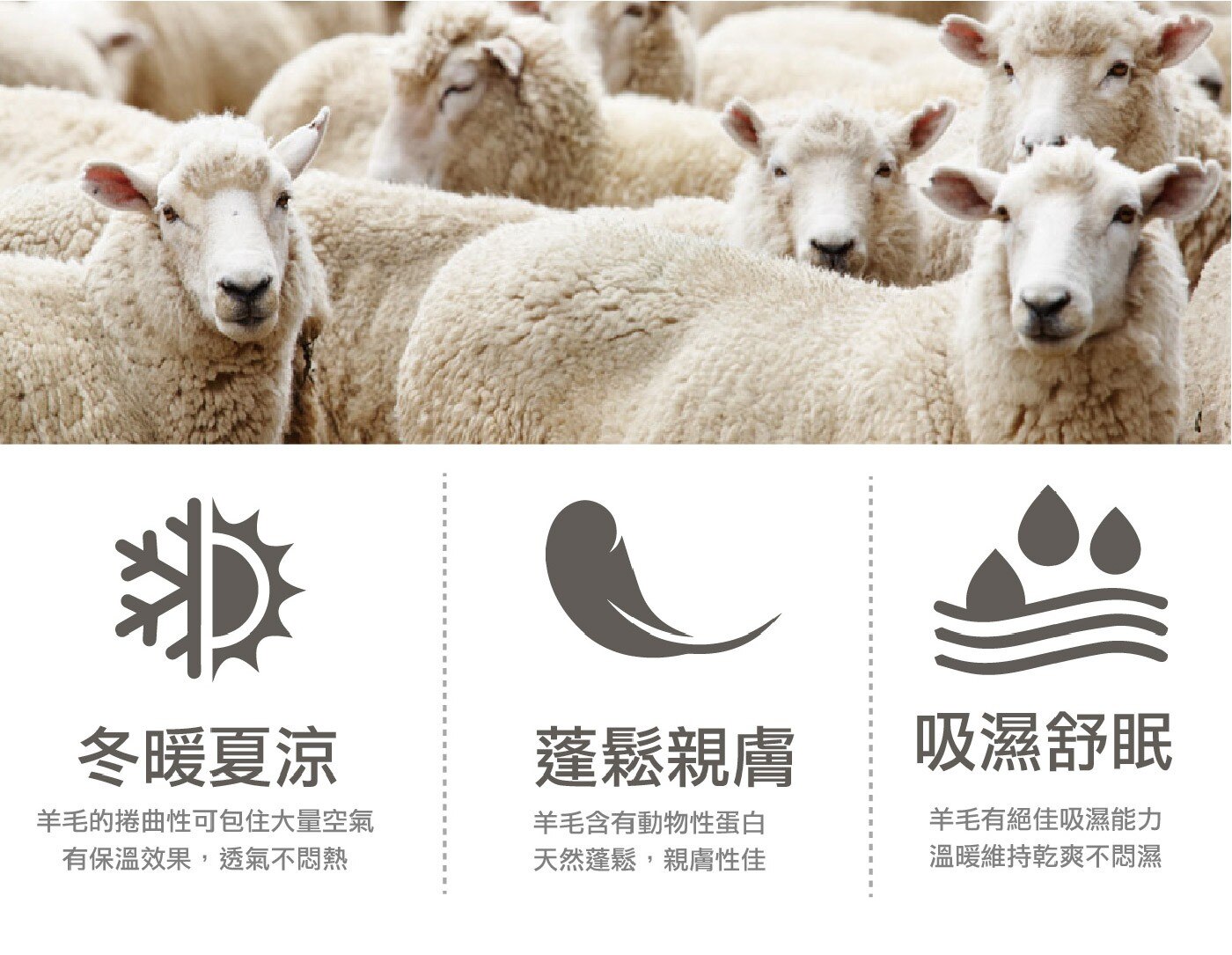 Caliphil 單人天然紐西蘭羊毛被 150公分 X 210公分，表布為純棉，舒適度高，親膚性佳，與身體接觸不刺癢。選用天然紐西蘭羊毛，經專業處理程序，可安心使用。