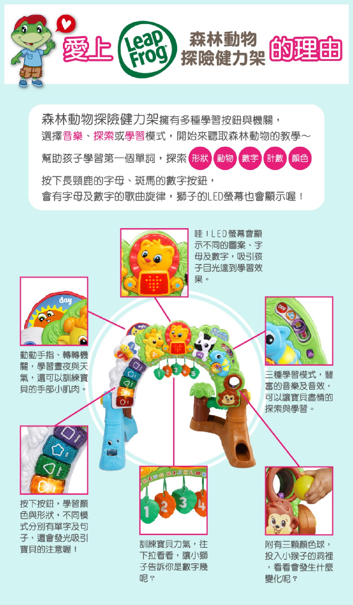 森林動物探險健力架，擁有多種學習按鈕與機關，選擇音樂、探索或學習模式，開始聽取森林動物教學，幫助孩子學習第一個單詞，按下長頸鹿的字母、斑馬的數字按鈕，會有字母及數字的歌曲旋律，獅子的LED螢幕也會顯示唷。