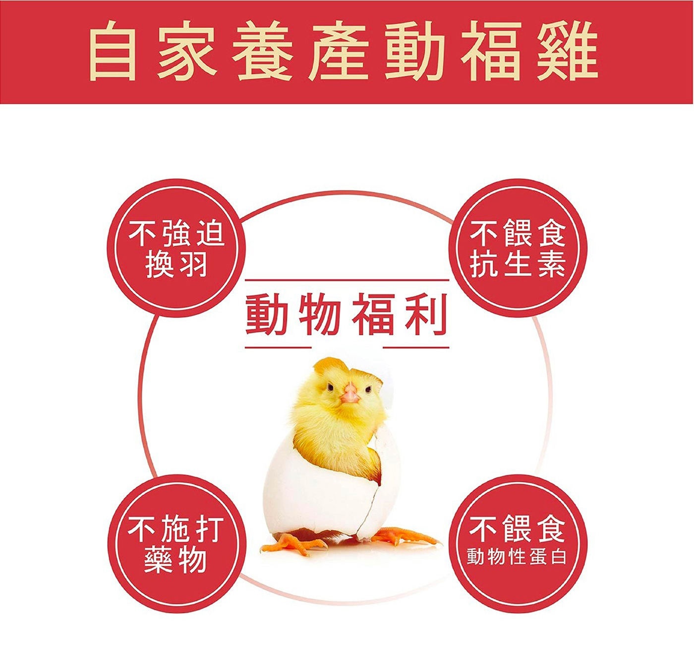 石安 滴雞精 使用自家養產動福雞 
