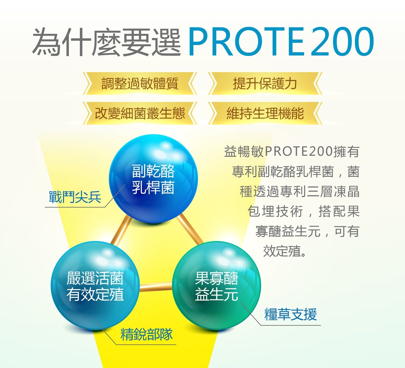 健康力益暢敏 PROTE200 益生菌輔助調整過敏體質榮獲雙健康食品認證，針對免疫力提升、過敏改善的特選活菌配方，每顆含50億專利專利副乾酪乳桿菌，為具有免疫調整功效的本土活菌，可以提升人體免疫力，增加人體對抗病菌的抵禦力。