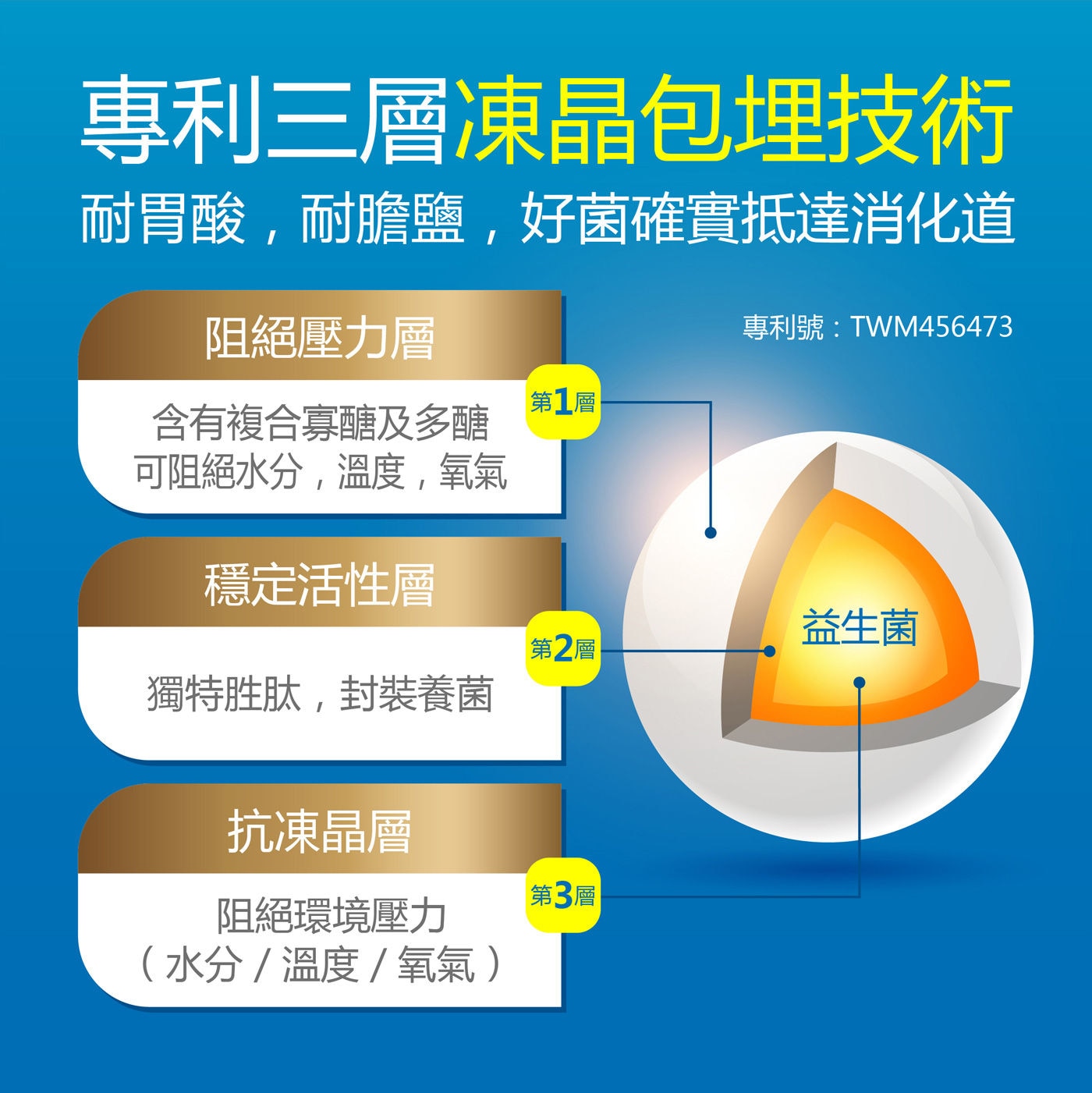 健康力益暢敏 PROTE200益生菌每顆含50億專利副乾酪乳酸桿菌益生菌，為萬中選一具有免疫調整功效的本土活菌， 可以提升人體免疫力，增加人體對抗病菌的抵禦力。