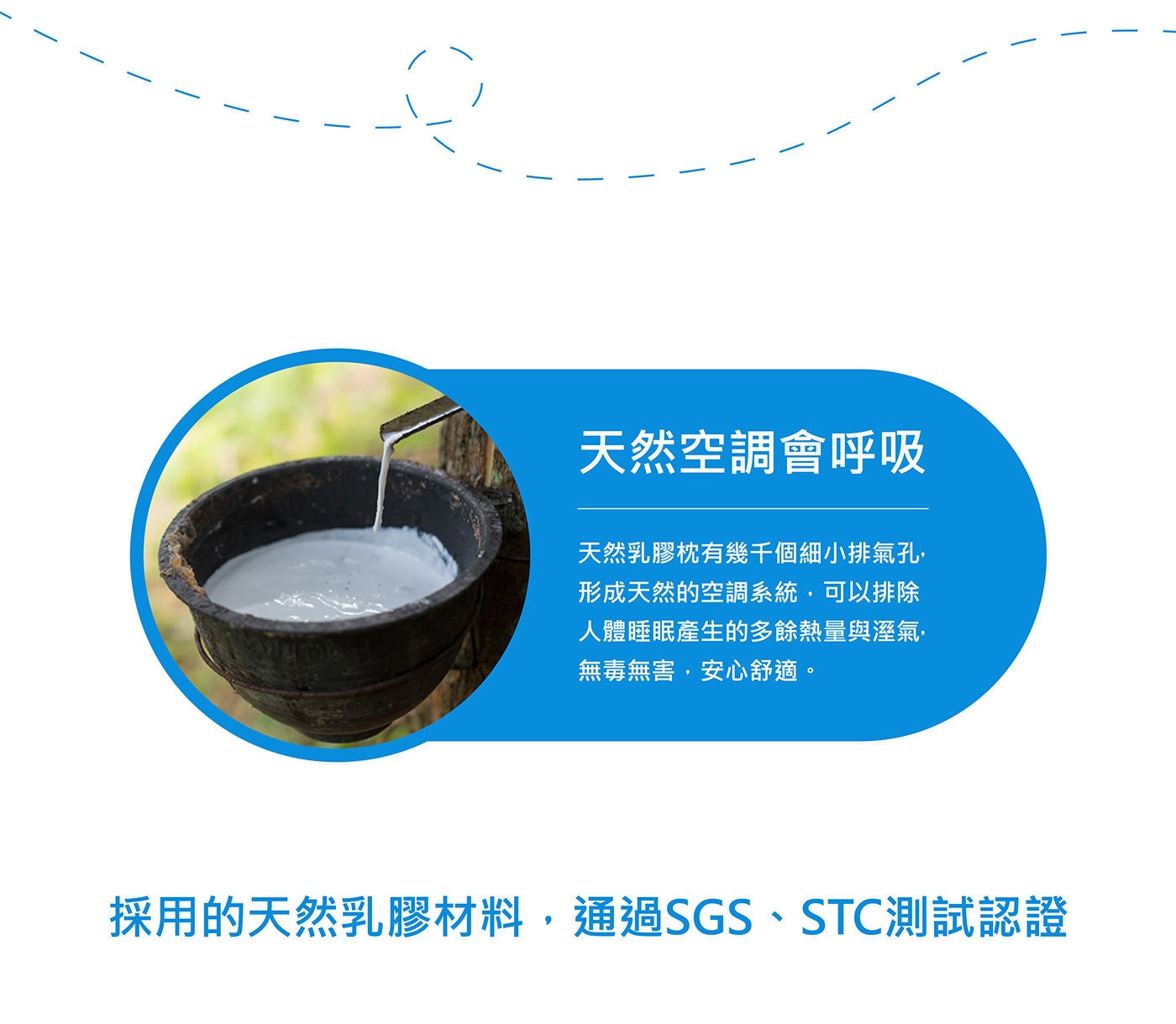 Reverie 兒童成長乳膠枕高品質乳膠，彈力支撐不易變形，有效抗蟎抗菌，透氣不悶熱，含純棉布套1入，可拆洗。