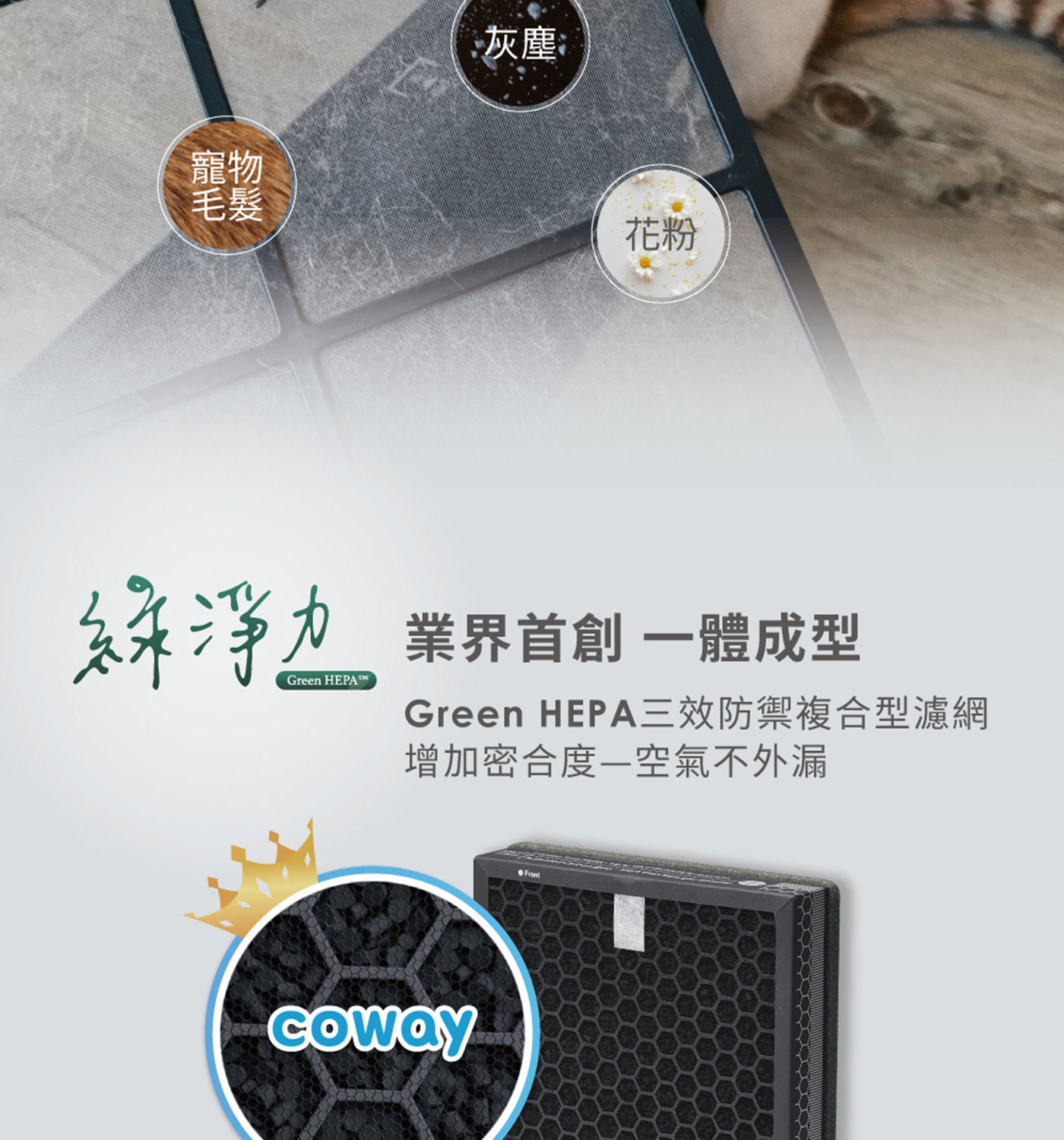Coway 空氣清淨機濾網二入組 業界首創 一體成型