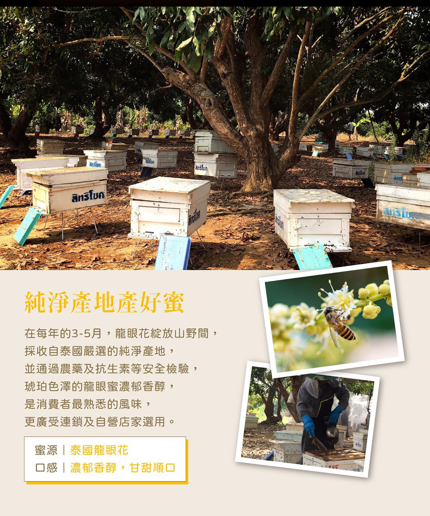 蜜蜂工坊龍眼蜜純淨產地產好蜜 通過農藥及抗生素安全檢驗 蜜源 泰國龍眼花 口感 濃郁香醇 甘甜順口