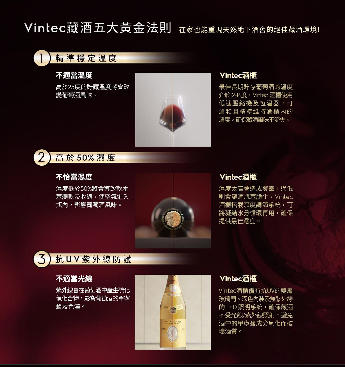 Vintec 獨立式/嵌入式雙溫酒櫃 50瓶 VWD050SBA-X精準穩定溫度高於50%的溼度抗UV紫外線防護