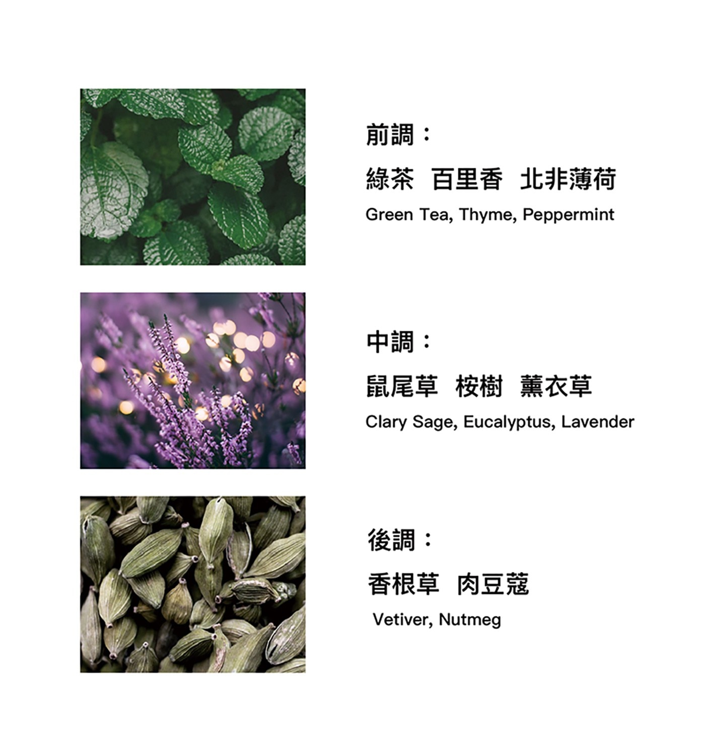 L'Original 英式下午茶香氛四入組隨行攜帶曼妙芬芳精巧設計豐富質感皇家紅茶/摩洛哥薄荷茶/鼠尾草白茶/柚子綠茶