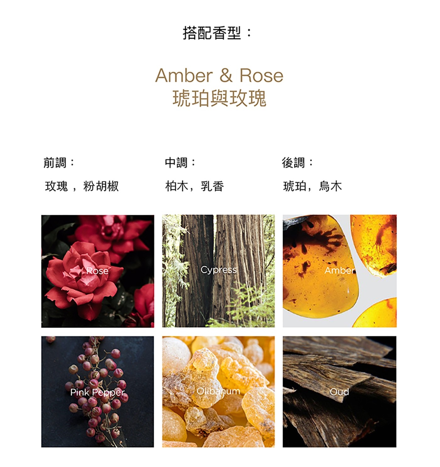 L'Original 經典車香套裝英國車用香氛國際認證安全環保隨時隨地依心情替換車用芳香膠囊安全無毒精緻優雅百搭內飾迷人香氣提升坐駕感官享受