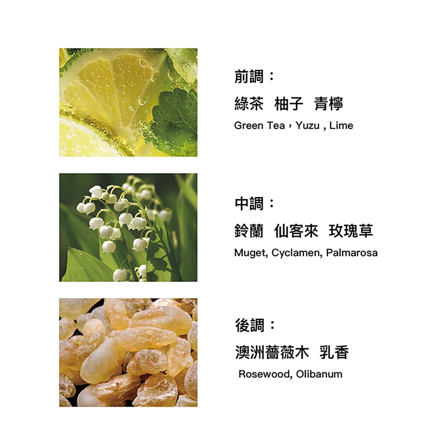 L'Original 英式下午茶系列車用香包隨行攜帶曼妙芬芳精巧設計豐富質感英國皇家御用調香IFRA國際認證絕無酒精打造最高安全級別車香