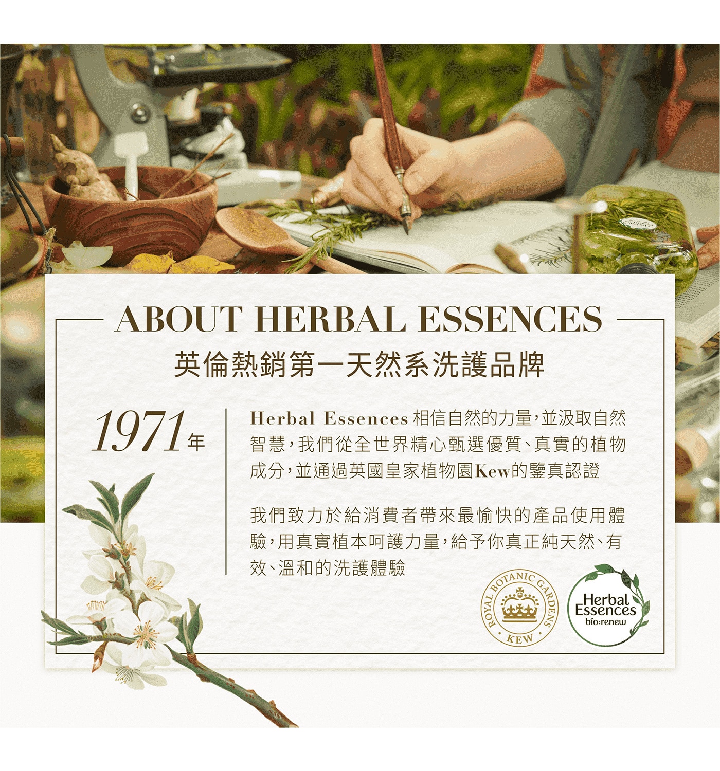 Herbal Essences 藍薑清香豐盈洗髮露 1.2公升英倫熱銷第一天然洗護品牌