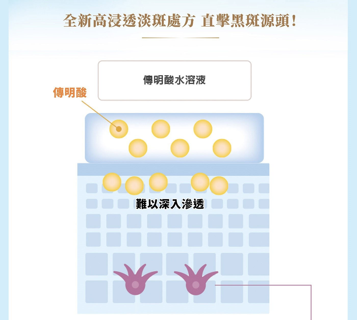 肌研 白潤高效集中淡斑乳液 140毫升 X 2入全新高浸透淡斑處方直擊黑斑源頭