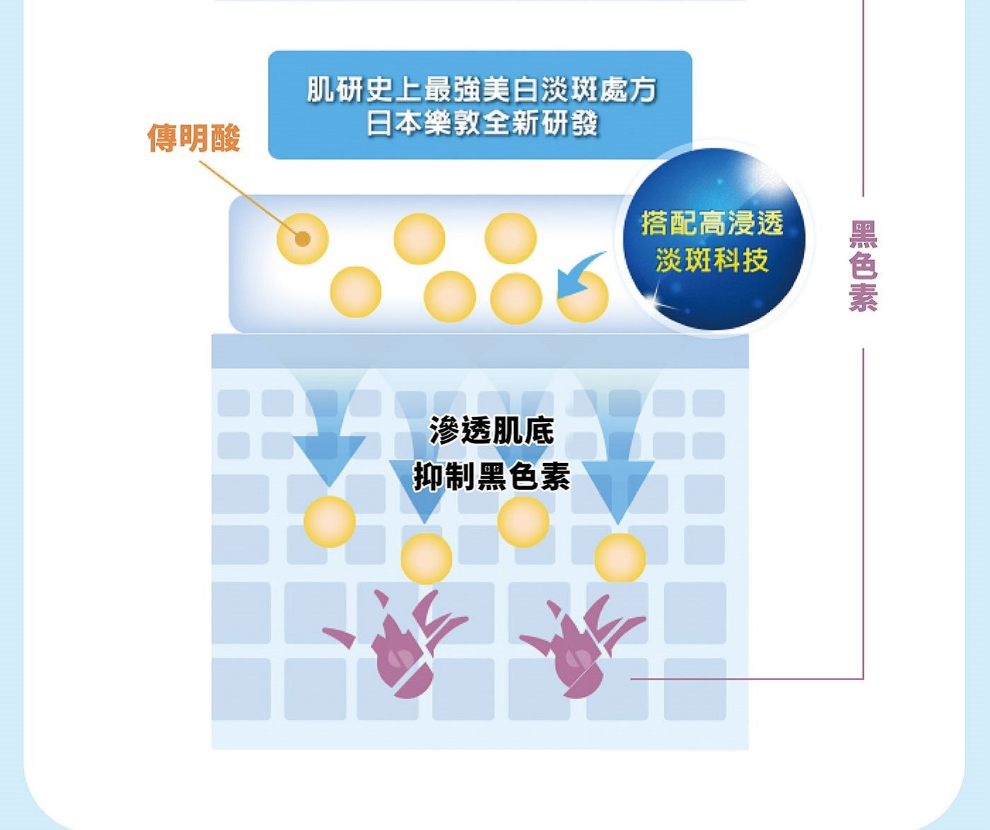 肌研 白潤高效集中淡斑乳液 140毫升 X 2入傳明酸搭配高浸透淡斑科技滲透肌底抑制黑色素