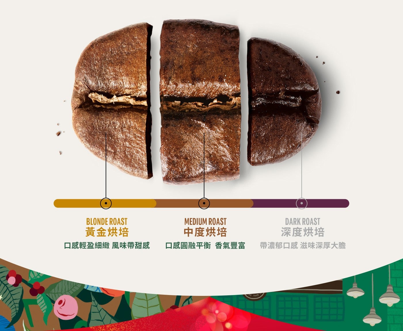 BLONDE ROAST 黃金烘培口感輕盈細緻風味帶甜感 MEDIUM ROAST 中度烘培口感圓融平衡香氣豐富 DARK ROAST 深度烘培帶濃郁口感滋味深厚大膽