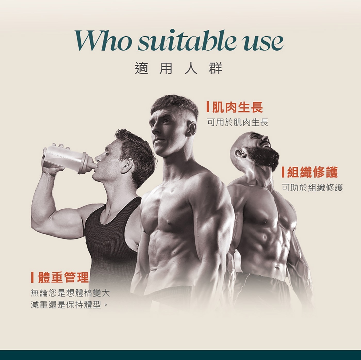 Myprotein 濃縮乳清蛋白粉 2.5公斤 英式奶茶風味適用於體重管理者肌肉生長者可助於組織修復