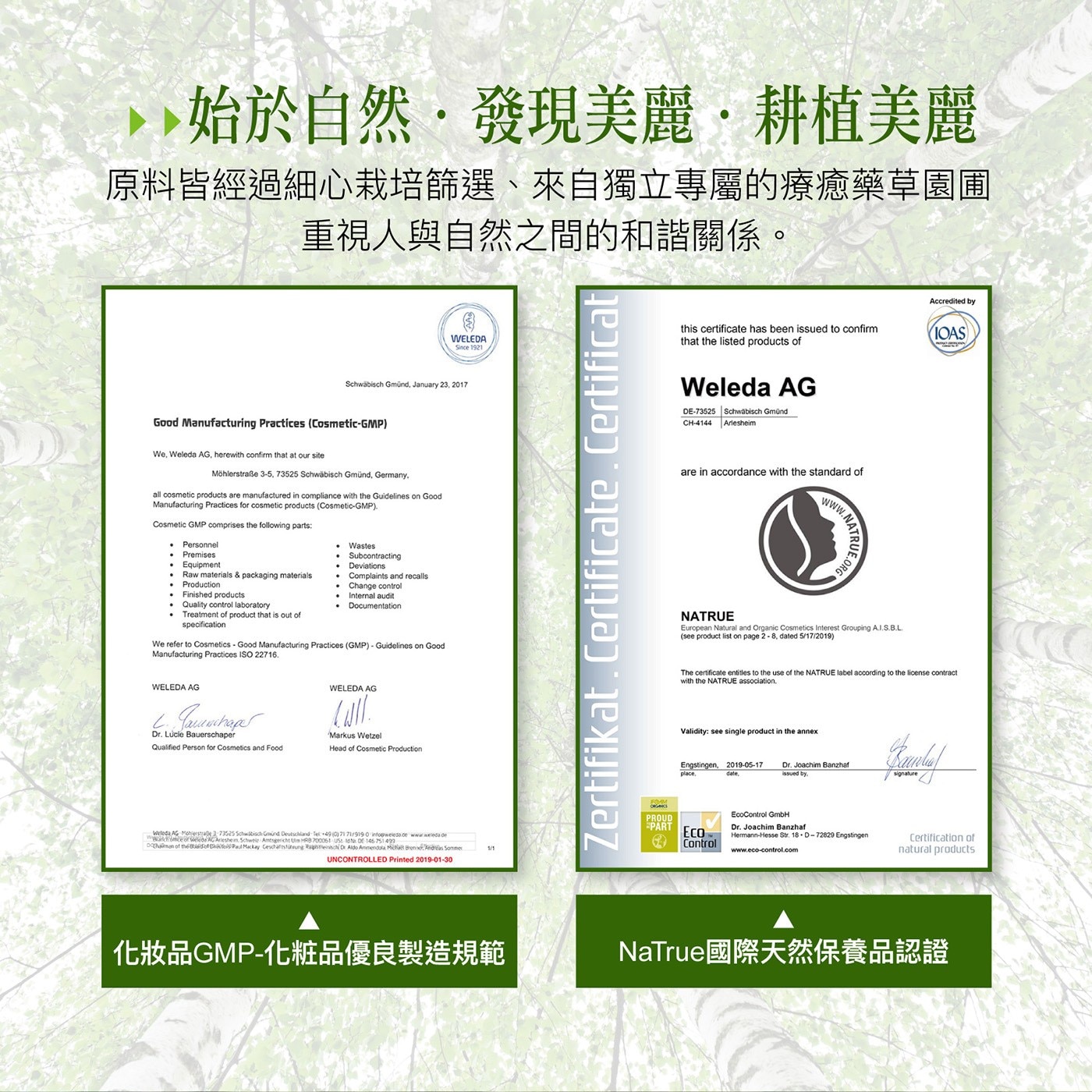 Weleda 白樺木勻體按摩油 100毫升 X 2入始於自然發現美麗耕植美麗原料皆經過細心栽培篩選來自獨立專屬療癒藥草園重視人與自然間和諧