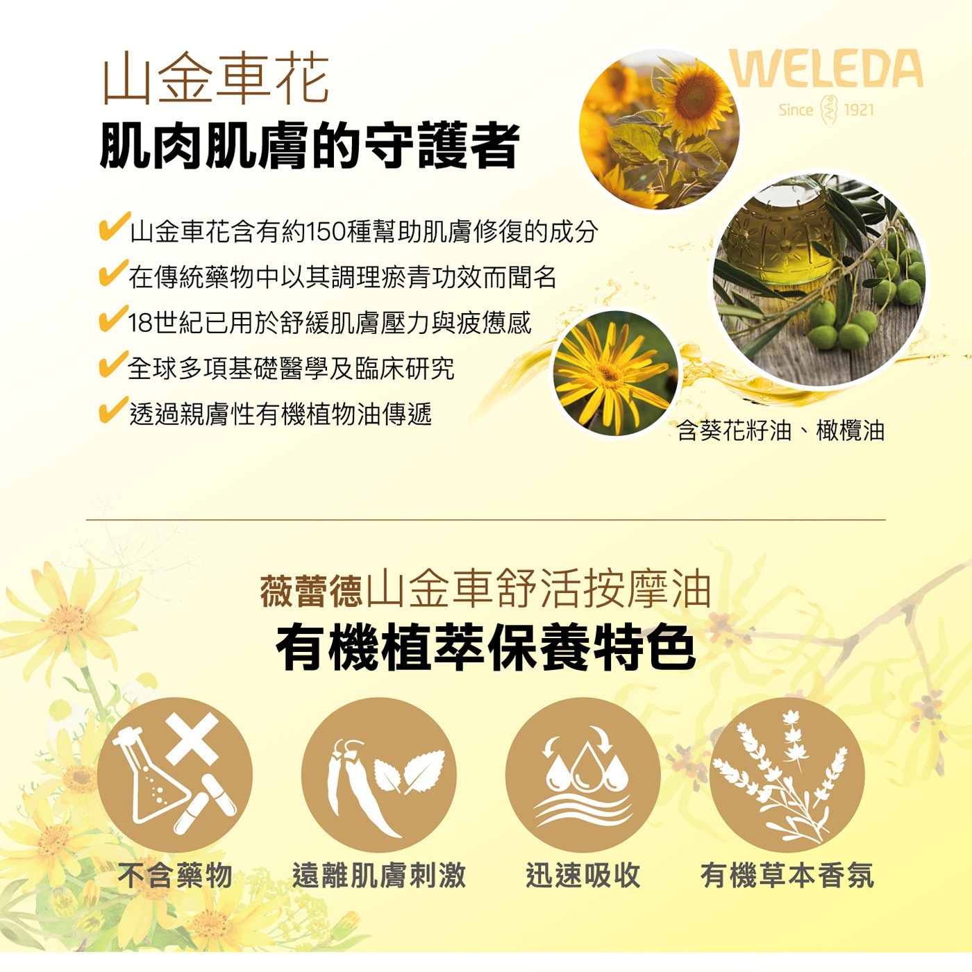 Weleda 山金車舒活按摩油 200毫升 X 1入山金車花肌肉肌膚的守護者含約150種幫助肌膚修護成分在傳統藥物中以調理瘀青功效聞名不含藥物遠離肌膚刺激迅速吸收有機草本香氣