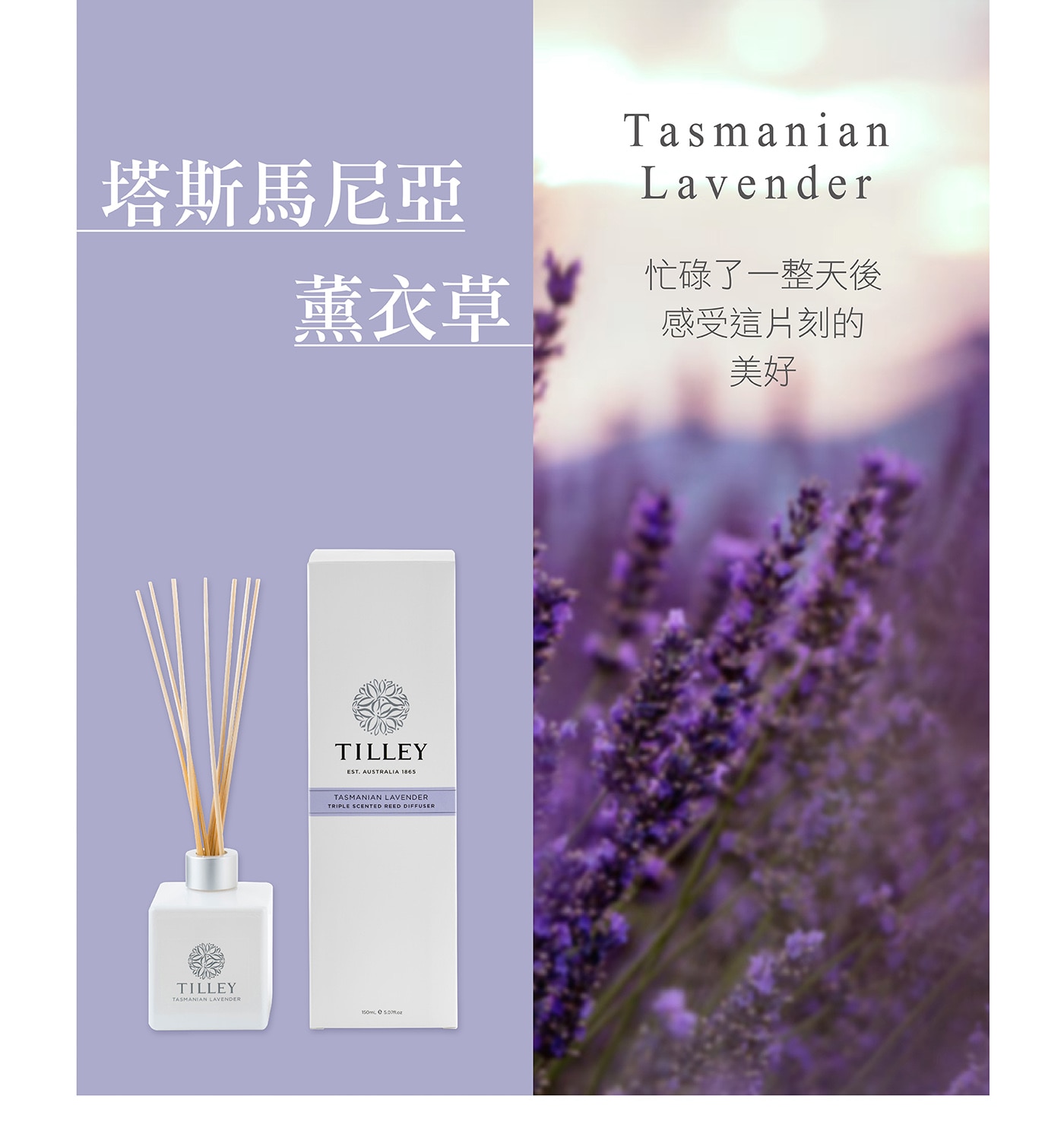 Tilley 澳洲經典香氛擴香組源於澳洲百年大廠品牌，室內香氛，保持空氣芳香。