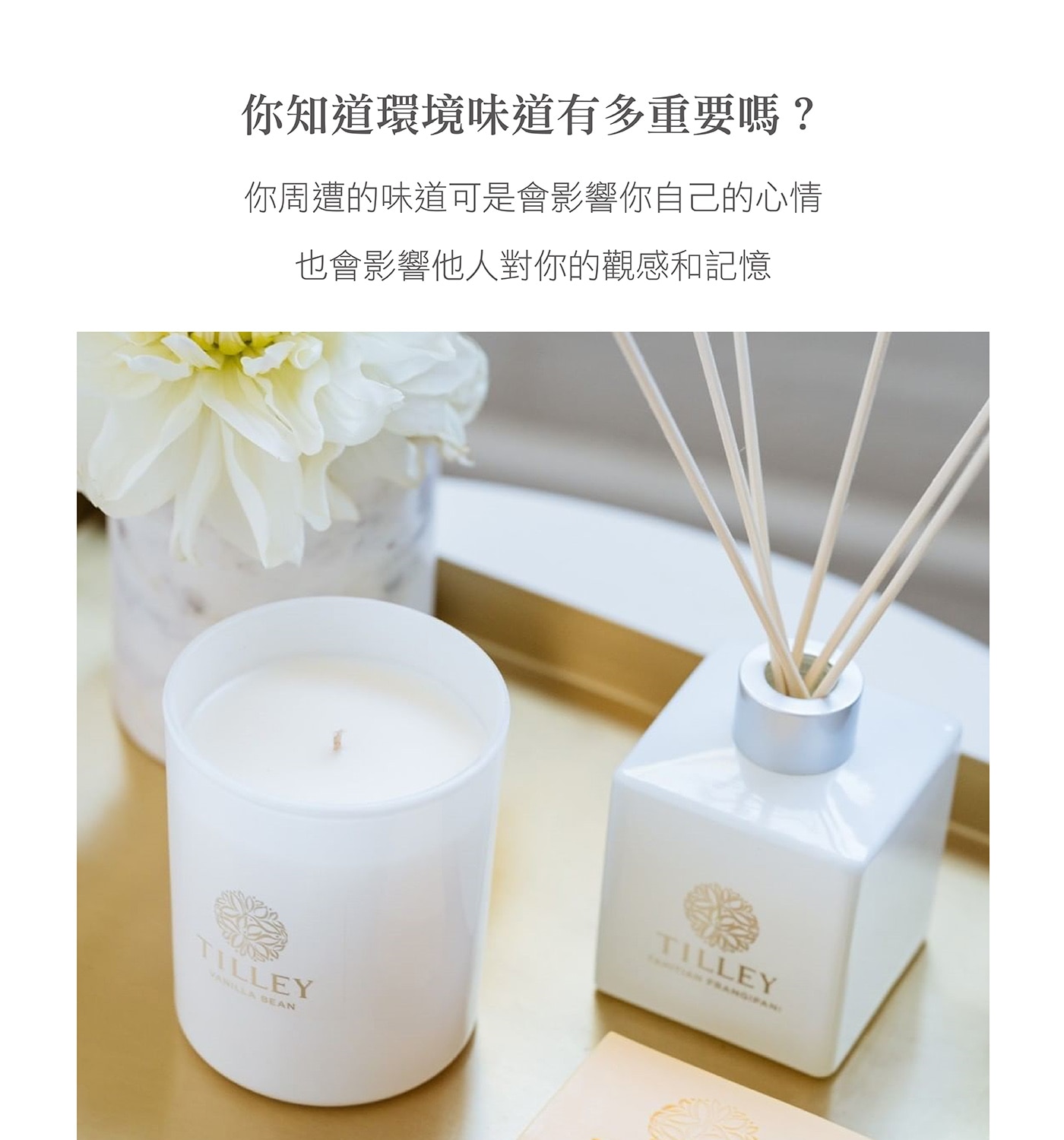 Tilley 澳洲經典香氛擴香組源於澳洲百年大廠品牌，室內香氛，保持空氣芳香。