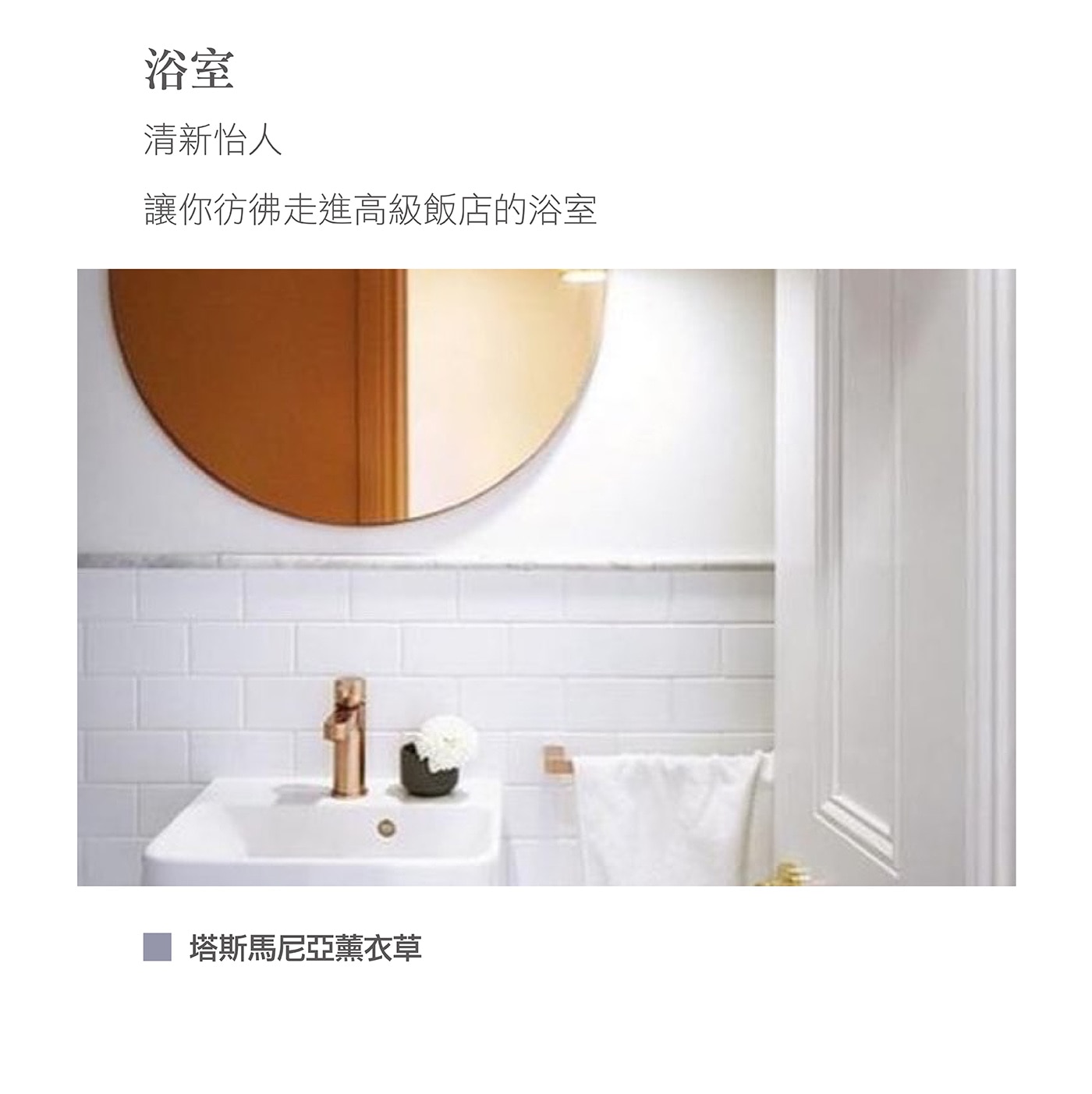 Tilley 澳洲經典香氛擴香組源於澳洲百年大廠品牌，室內香氛，保持空氣芳香。