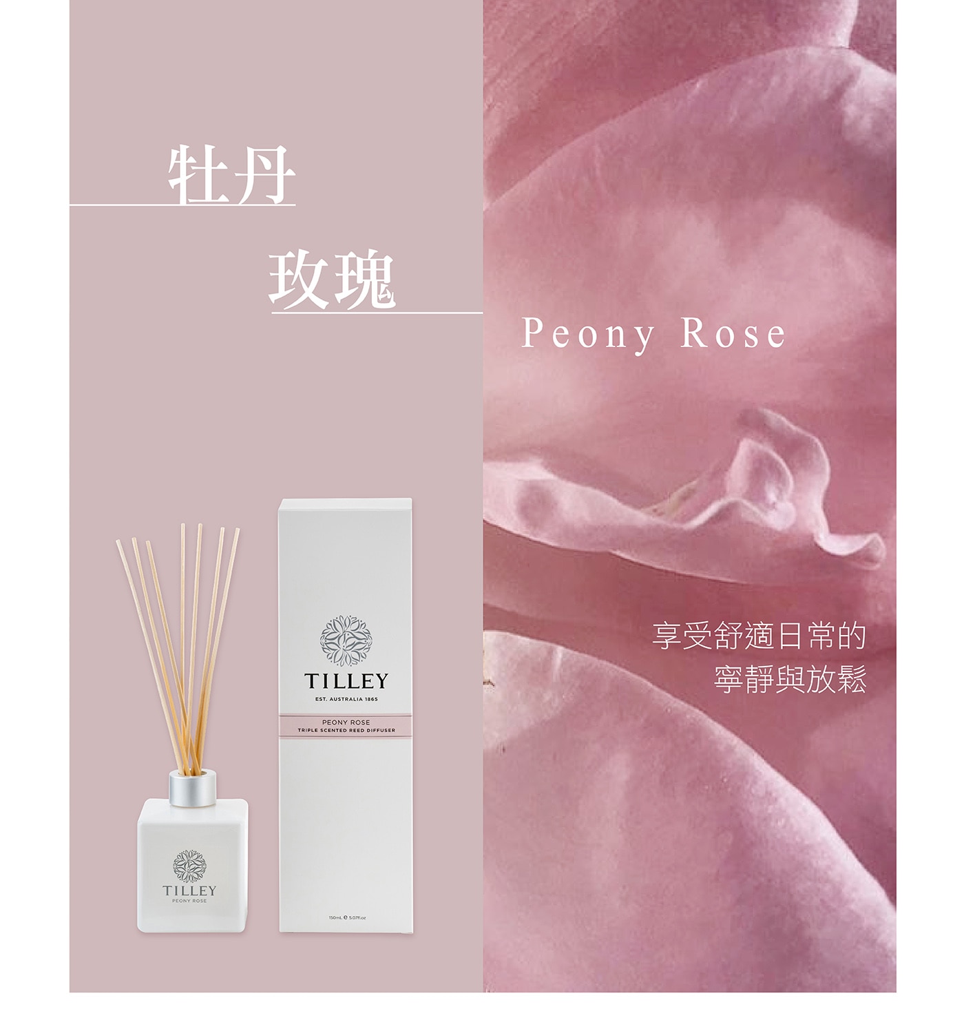 Tilley 澳洲經典香氛擴香組源於澳洲百年大廠品牌，室內香氛，保持空氣芳香。