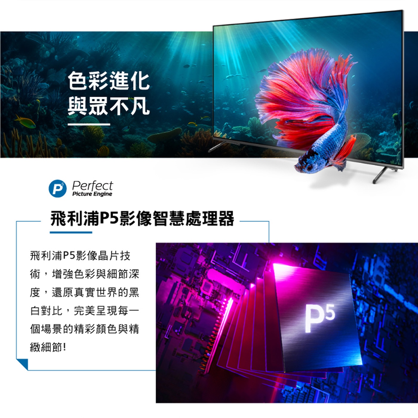 飛利浦 4K LED 顯示器，高解析度，最新Google TV作業系統，極致絕美面板，完美廣色域，享受劇院級視聽效果。