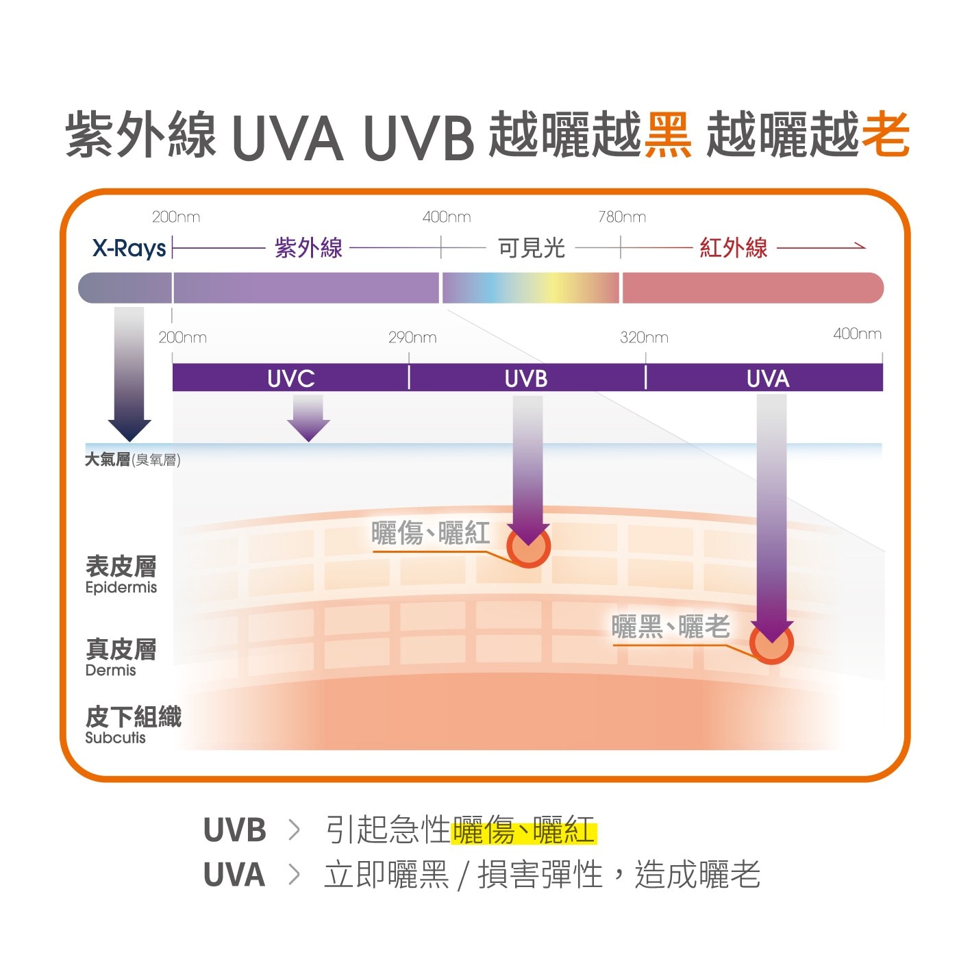 紫外線 UVA UVB 越曬越黑越曬越老 200nm 400nm 780nm X-Rayst