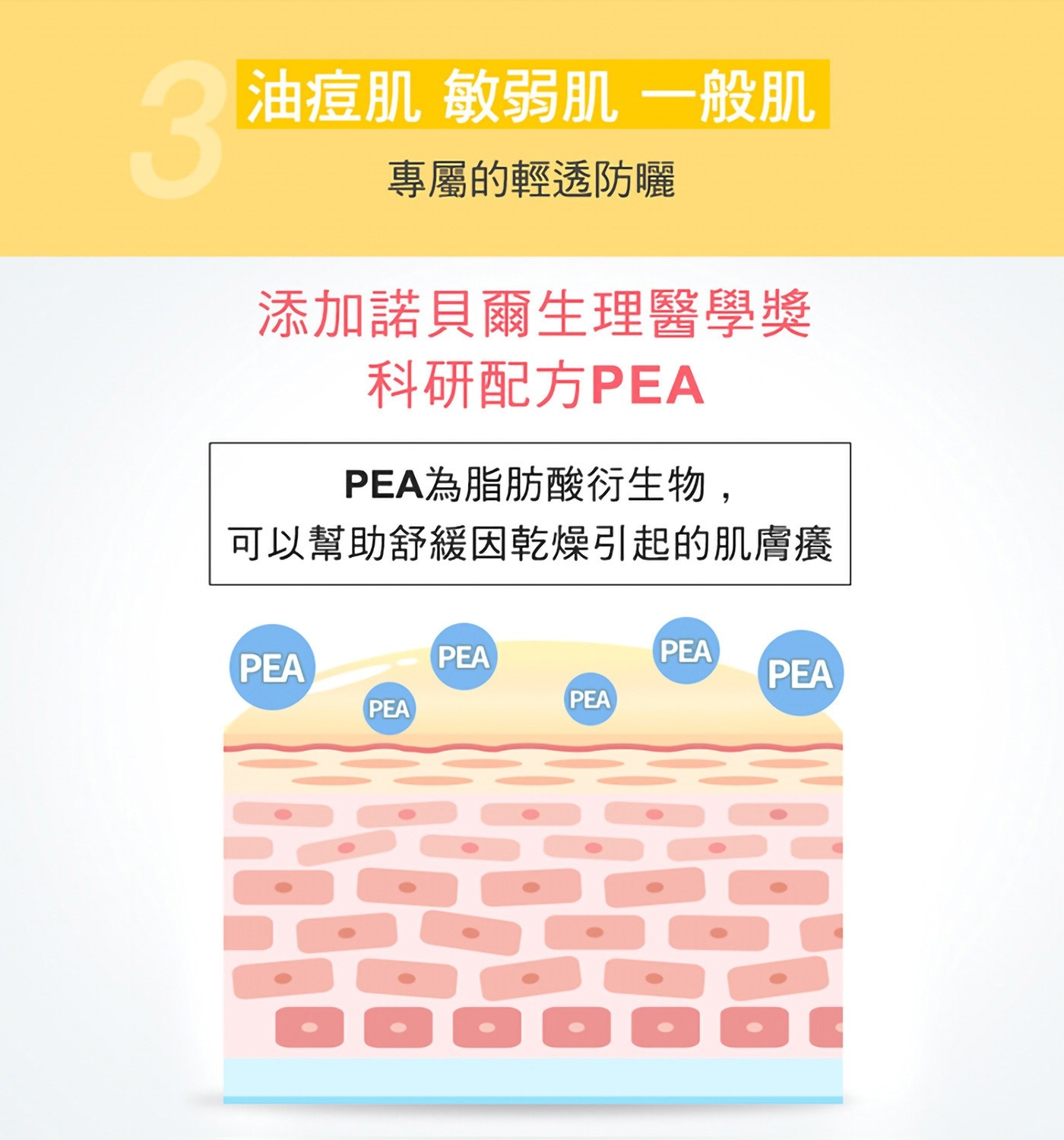 PHYSIOGEL 潔美淨 層脂質 AI 輕透防曬霜，抵抗陽光傷害，含科研PEA，舒緩乾癢不適，易清洗、輕透無負擔。
