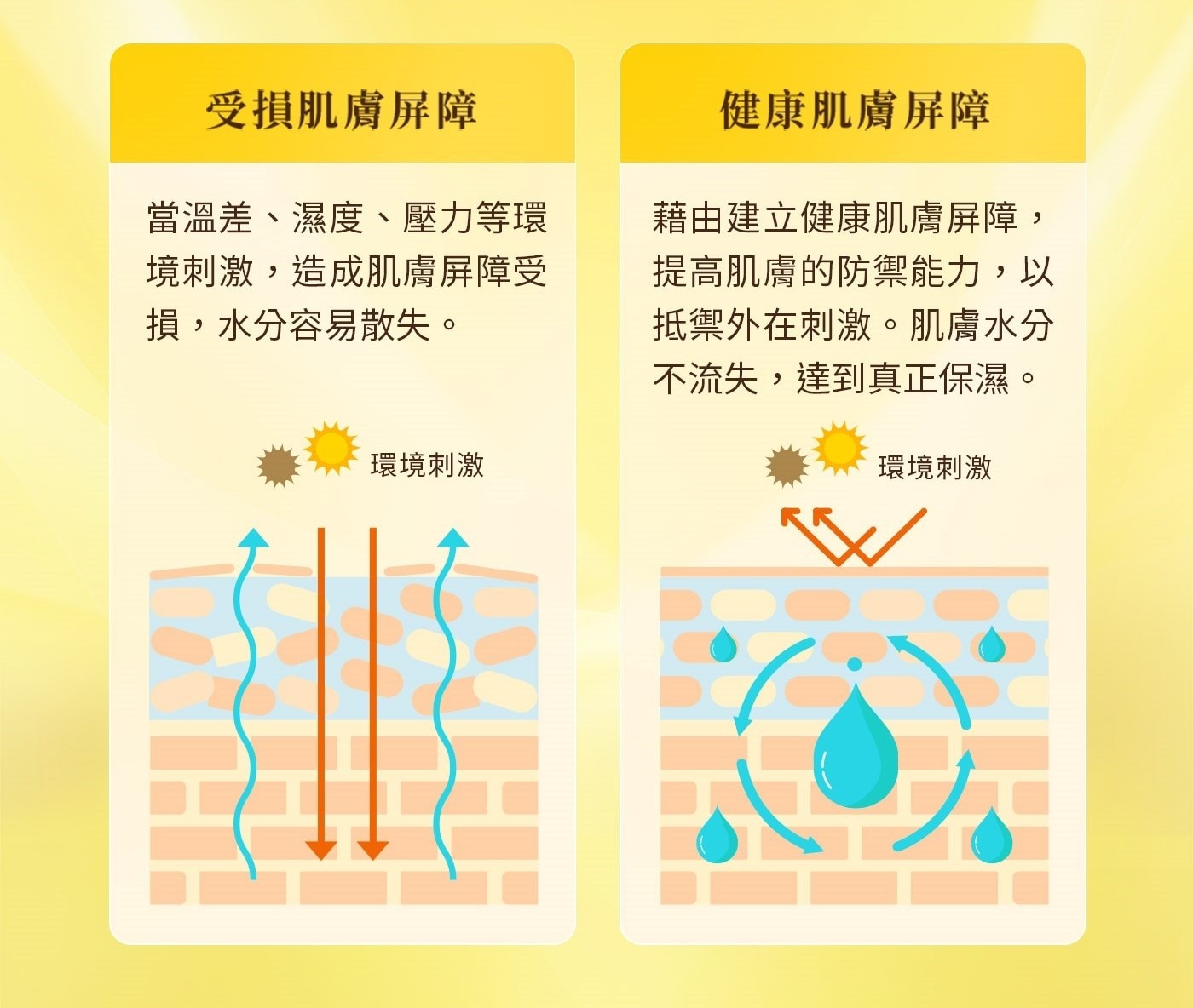 肌研 極潤金緻高效保濕精華液 30公克 X 2入