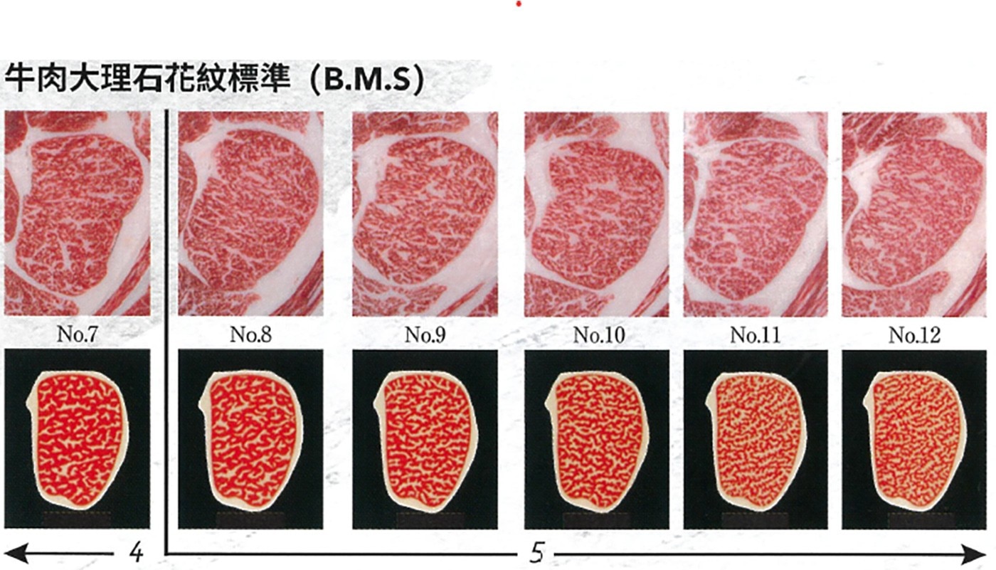 A5 日本冷凍和牛牛排