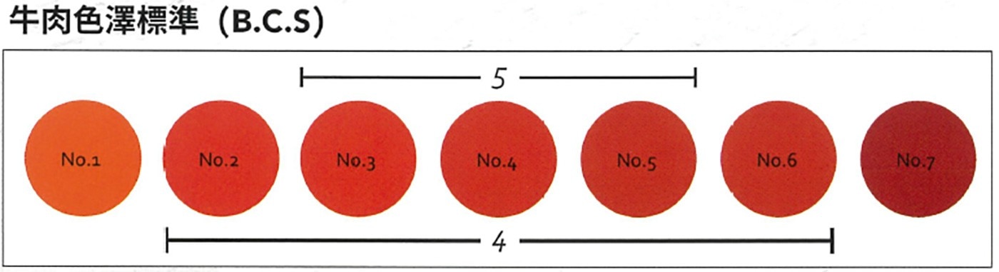 A5 日本冷凍和牛牛排