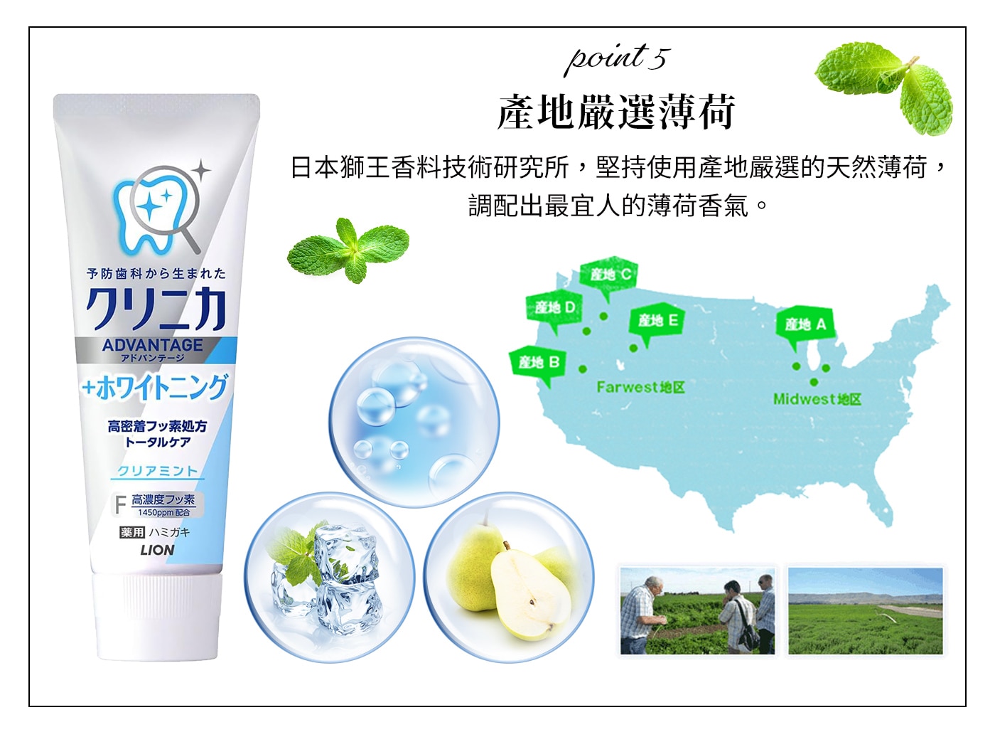 日本獅王 固齒佳酵素極致亮白牙膏家庭組