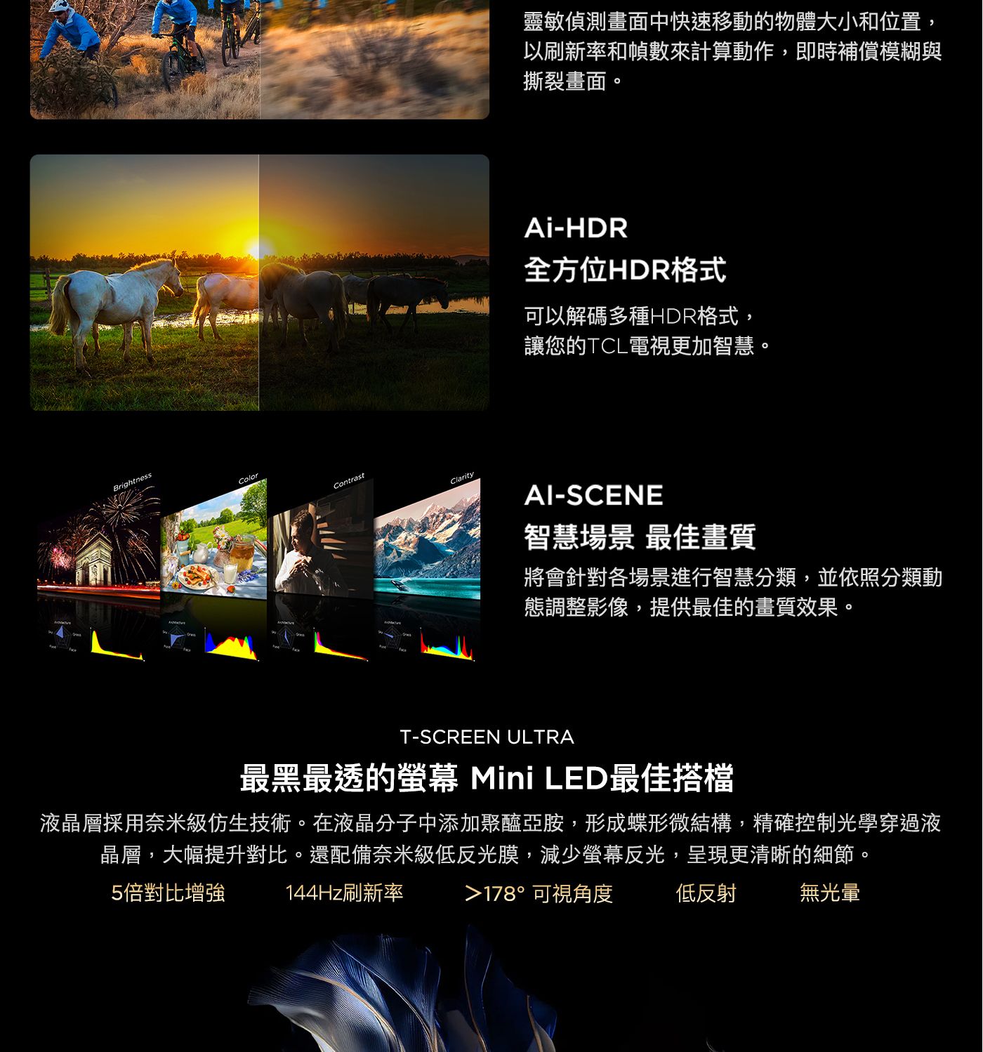 TCL 65吋 4K QD-Mini LED Google TV 量子智能連網液晶顯示器 不含視訊盒 65C867