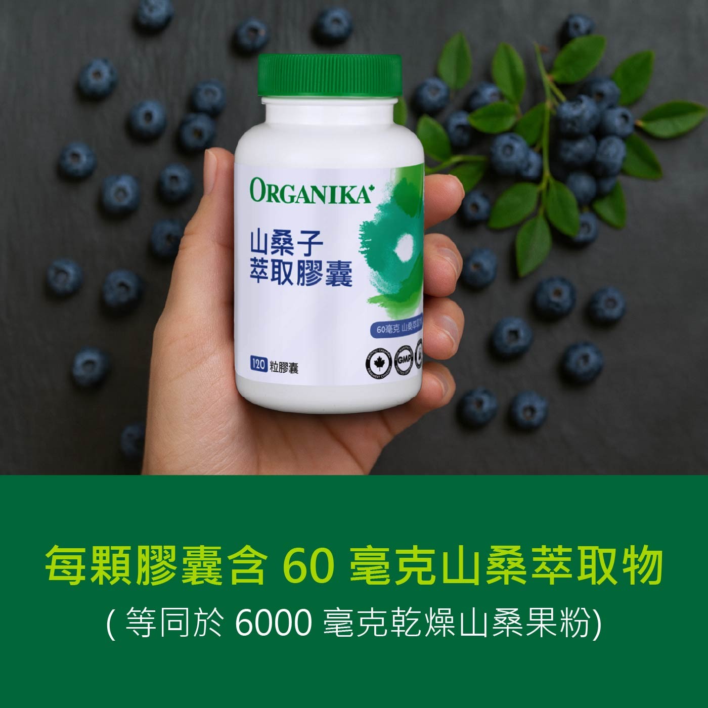 ORGANIKA 山桑子 萃取膠囊 60毫克 山 00 粒膠囊 OO GMP