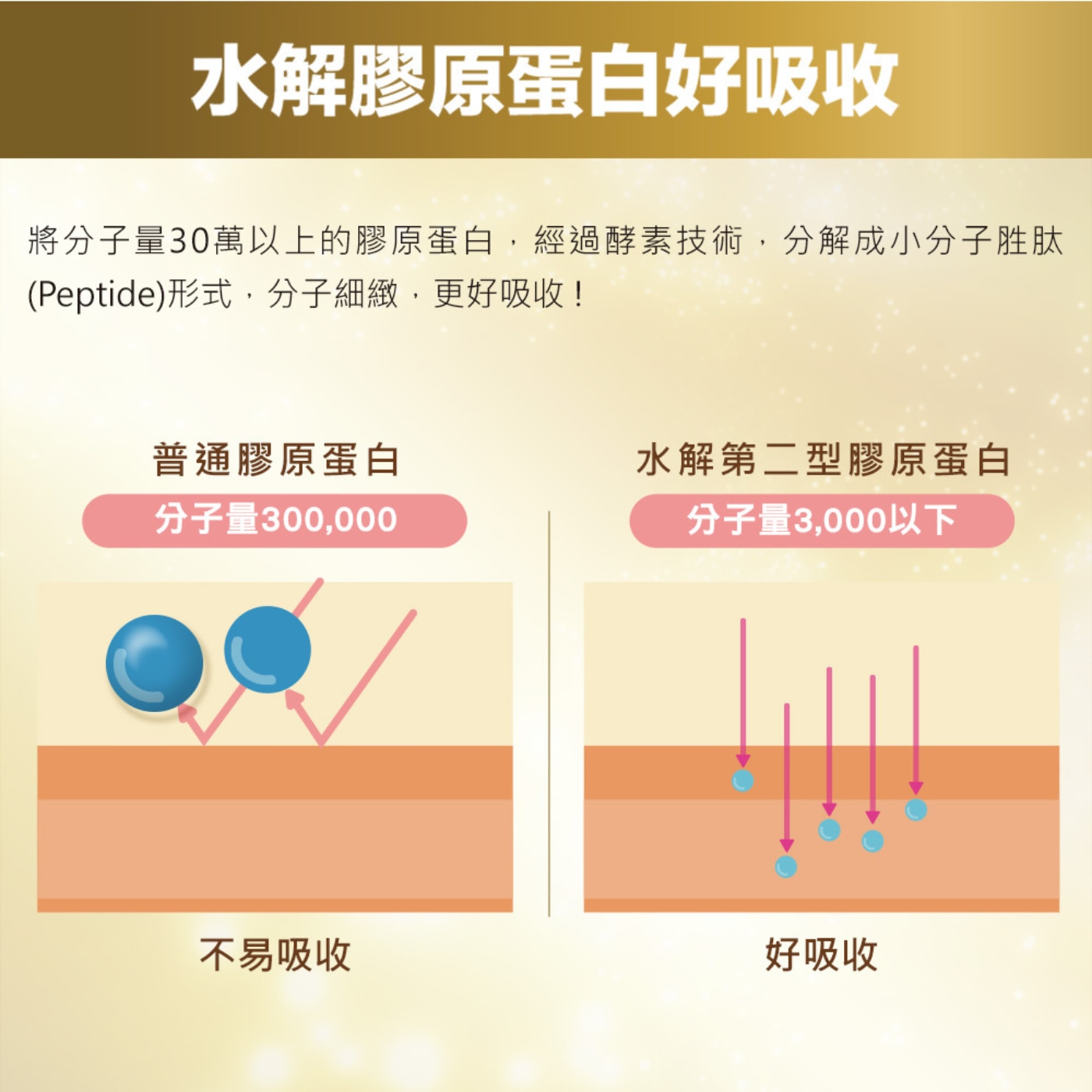 白蘭氏 關鍵活躍 第二型膠原蛋白 雞精精華飲，超過185年的鷄精專家——白蘭氏,長期關注現代人的健康,領先業界 推出「關鍵活躍®第二型膠原蛋白鷄精精華飲」,滿足現代人對於關 鍵行動保健的需求。