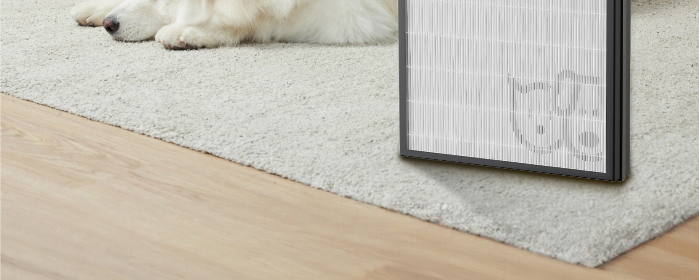 飛利浦 寵物抗敏空氣清淨機濾網 AC3681專用