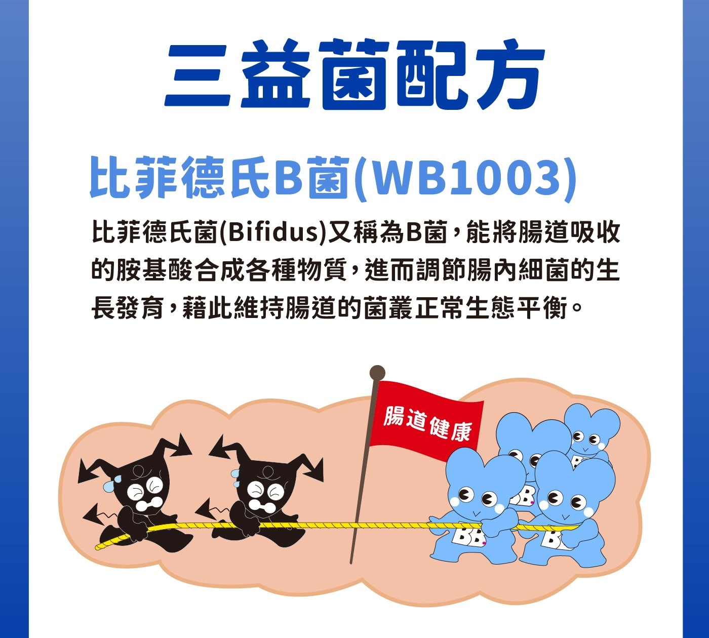 三益菌配方比菲德氏B菌WB1003比菲德氏菌Bifidus又稱為B菌,能將腸道吸收的胺基酸合成各種物質,進而調節腸內細菌的生長發育,藉此維持腸道的菌叢正常生態平衡。腸道健康BB