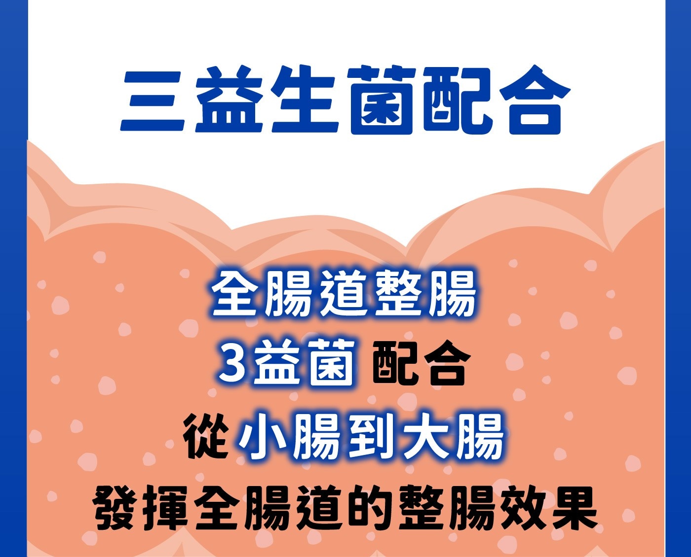 3益生菌配合全腸道整腸3益菌配合從小腸到大腸發揮全腸道的整腸效果