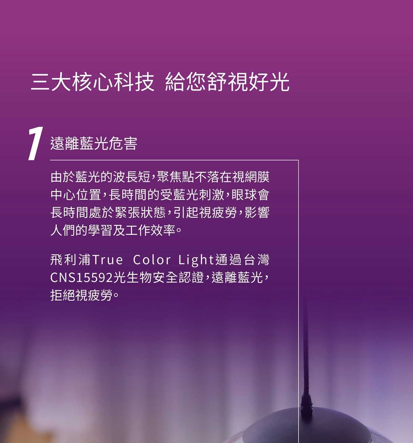 飛利浦 12.5W LED 真彩燈泡 8入，符合台灣BSMI CNS效能、安全規範
