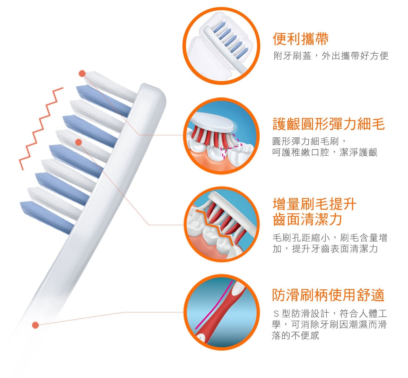 倍麗兒 易齒淨高彈性牙刷 20入，鋸齒刷毛設計，增加齒縫清潔，獨特圓形彈力細毛刷，呵護稚嫩口腔，潔淨護齦，毛刷孔距縮小，刷毛含量增加，提升牙齒表面清潔力。