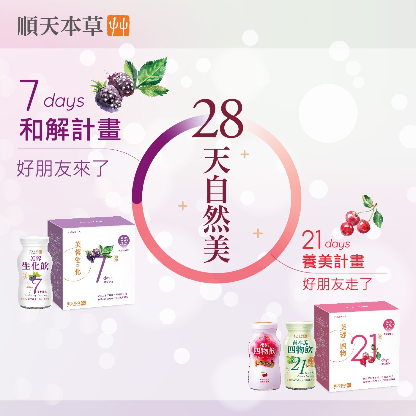 順天本草 芙蓉生化飲 100毫升 X 24入