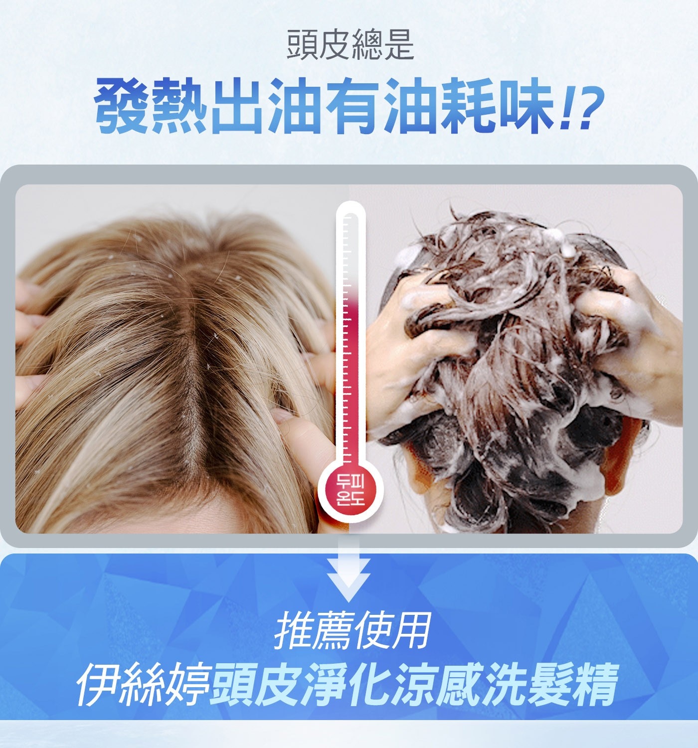 Elastine 頭皮淨化涼感洗髮精 680毫升 X 2入