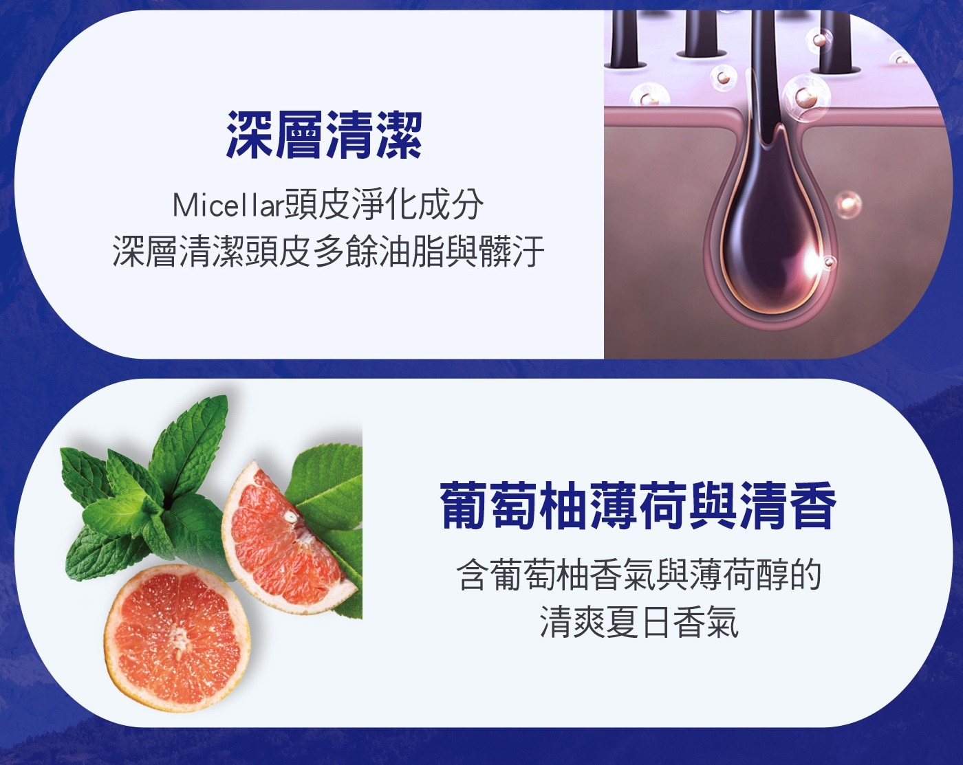 Elastine 頭皮淨化涼感洗髮精 680毫升 X 2入