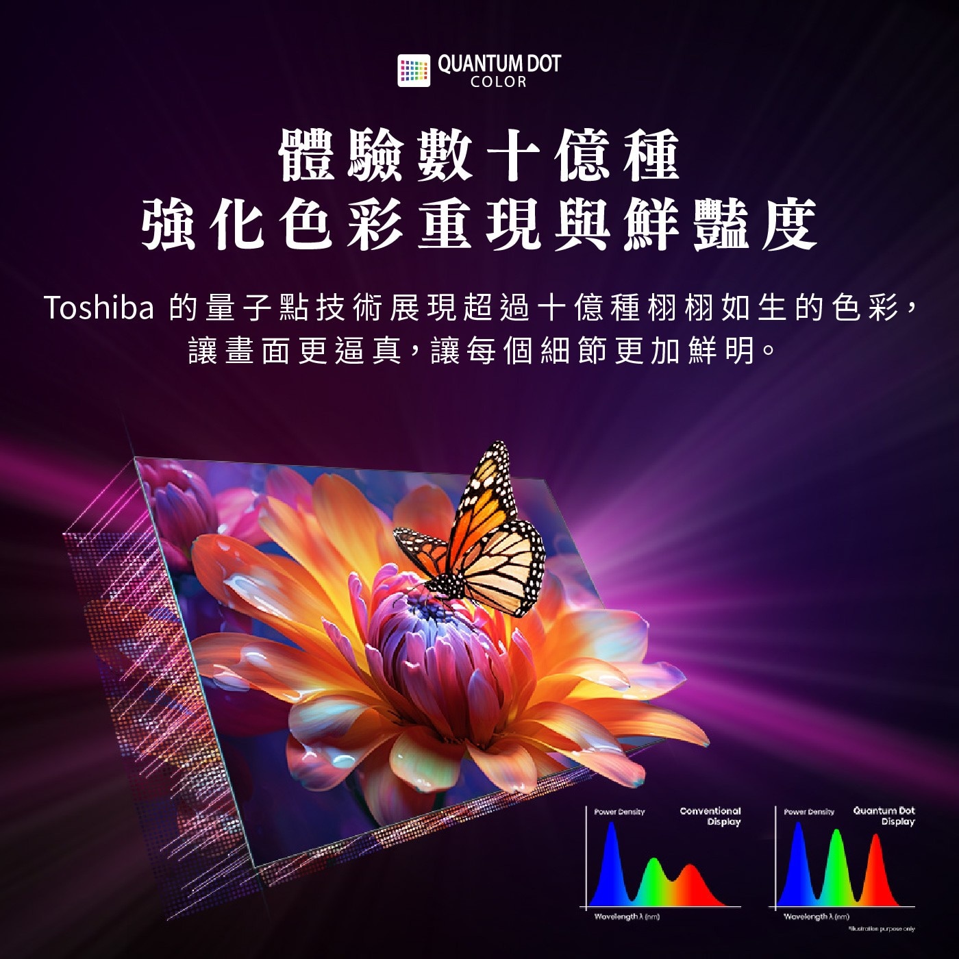 東芝 Regza 75型 4K QLED 144Hz 全陣列背光智慧顯示器，4K UHD 144Hz QLED，廣色域DCI/P3 95%; 高亮度表現500nits，HDR 支援 (HDR10, HDR10+, HLG, Dolby Vision)，全陣列動態背光, 動態範圍表現更驚豔。