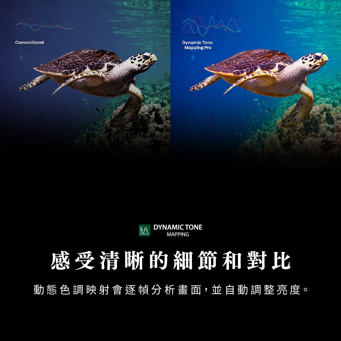 東芝 Regza 75型 4K QLED 144Hz 全陣列背光智慧顯示器，4K UHD 144Hz QLED，廣色域DCI/P3 95%; 高亮度表現500nits，HDR 支援 (HDR10, HDR10+, HLG, Dolby Vision)，全陣列動態背光, 動態範圍表現更驚豔。