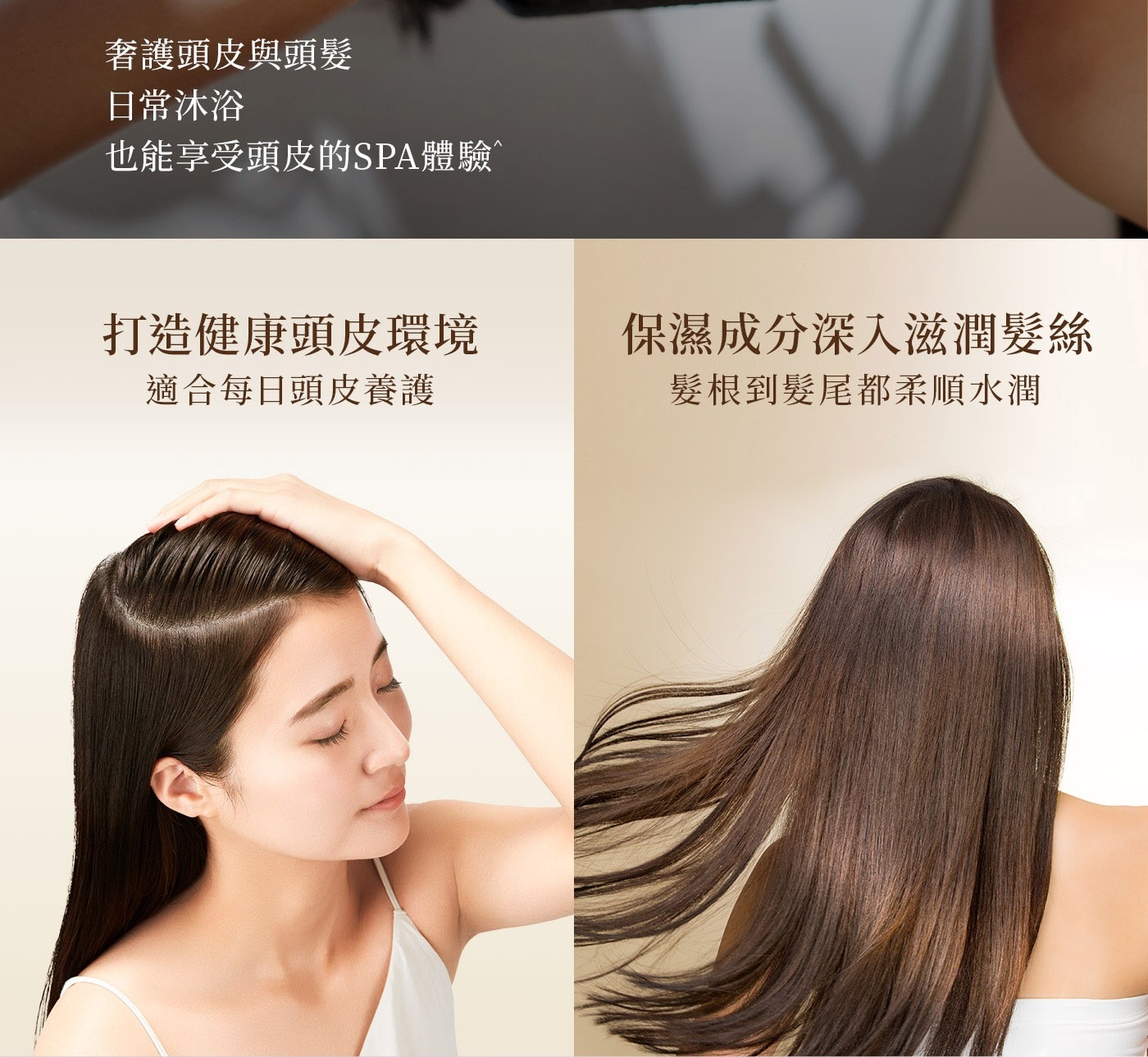 海倫仙度絲 Head Spa 深度體驗頭皮頭髮Spa洗護組 洗髮露 435公克 X 1入 + 護髮精華 435公克 X 1入髮根到髮尾都水潤光澤