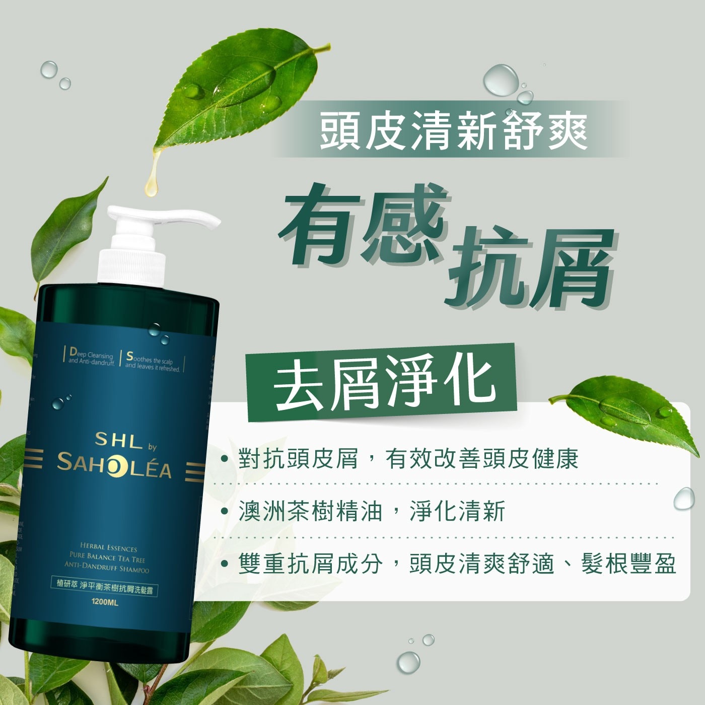 森歐黎漾 植研萃淨平衡茶樹抗屑洗髮露 1200毫升，頭皮屑、油性頭皮適用，茶樹精油添加，淨化頭皮，甘草酸衍生物與蜂王漿，舒緩不適。